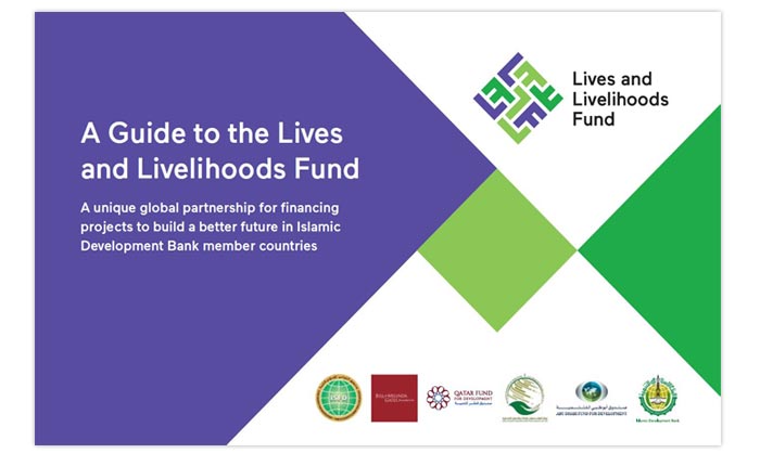 Scriptoria writes user-friendly guide to the Lives and Livelihoods Fund