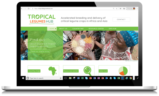 Tropical Legumes Hub consolidates learning from global food legume initiatives