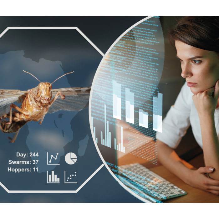 Developing core data handling and analysis systems for the UN FAO global Desert Locust tracking services