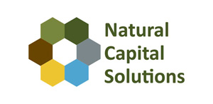 Natural Capital Solutions