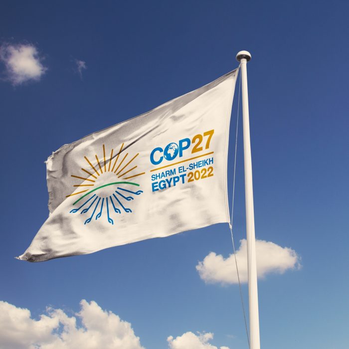 Scriptoria champions sustainable development at COP27